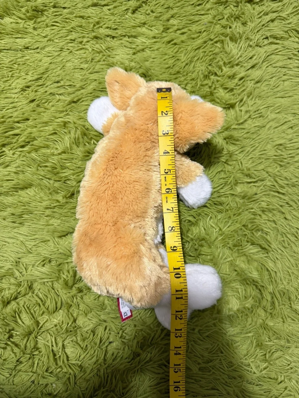Douglas Rudy Corgi 